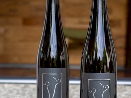 Weinflaschen Vigne